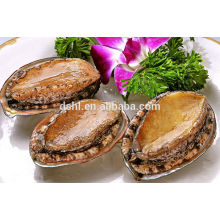 Gefrorenes gekochtes Abalone mit Schale